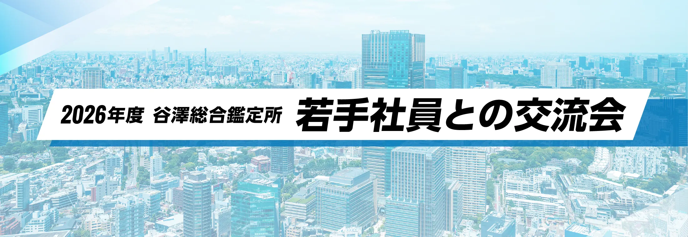 2026年度 谷澤総合鑑定所 若手社員との交流会