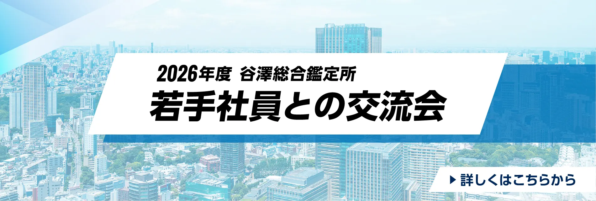 2026年度　谷澤総合鑑定所　若手社員との交流会